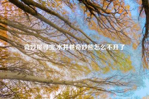 奇妙屋寻宝,水井巷奇妙熊怎么不开了