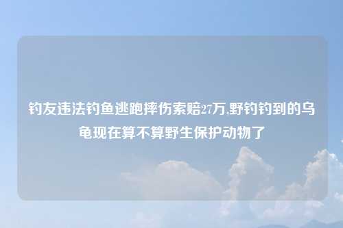钓友违法钓鱼逃跑摔伤索赔27万,野钓钓到的乌龟现在算不算野生保护动物了