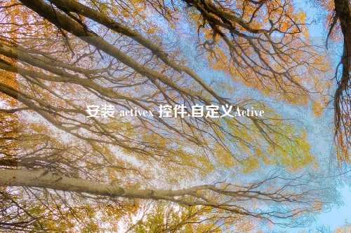 安装 activex 控件,自定义Active