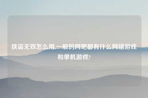 侠盗无双怎么用,一般的网吧都有什么网络游戏和单机游戏?