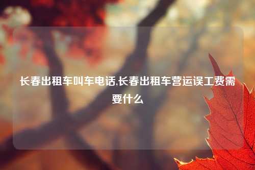 长春出租车叫车电话,长春出租车营运误工费需要什么
