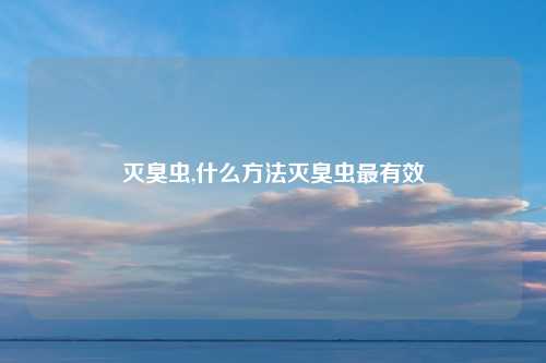 灭臭虫,什么方法灭臭虫最有效