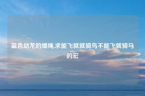 蓝色幼龙的缰绳,求能飞就就骑鸟不能飞就骑马的宏