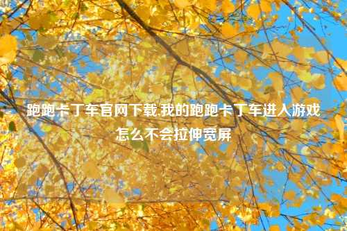 跑跑卡丁车官网下载,我的跑跑卡丁车进入游戏怎么不会拉伸宽屏