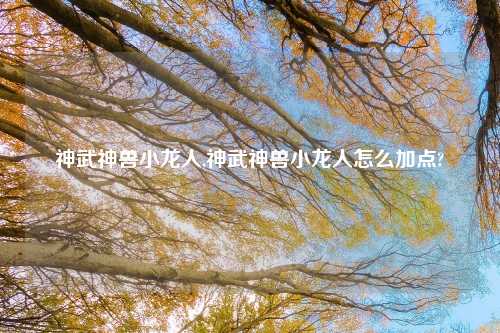 神武神兽小龙人,神武神兽小龙人怎么加点?