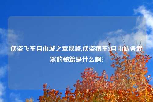 侠盗飞车自由城之章秘籍,侠盗猎车3自由城各武器的秘籍是什么啊?