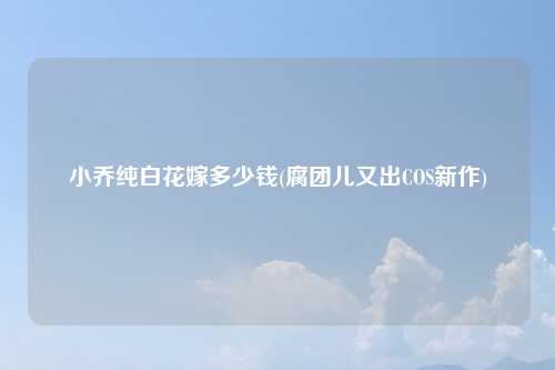 小乔纯白花嫁多少钱(腐团儿又出COS新作)
