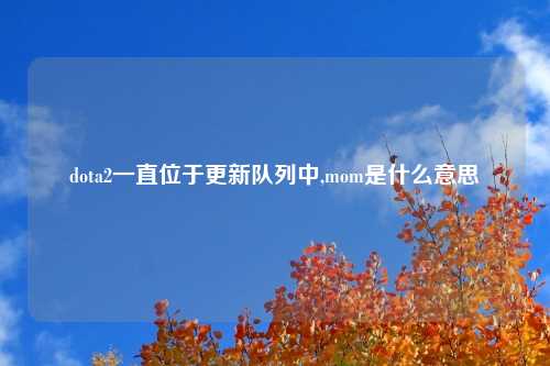 dota2一直位于更新队列中,mom是什么意思