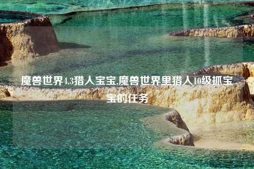 魔兽世界4.3猎人宝宝,魔兽世界里猎人10级抓宝宝的任务