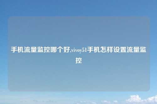 手机流量监控哪个好,vivoy51手机怎样设置流量监控