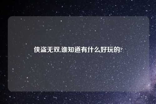 侠盗无双,谁知道有什么好玩的?