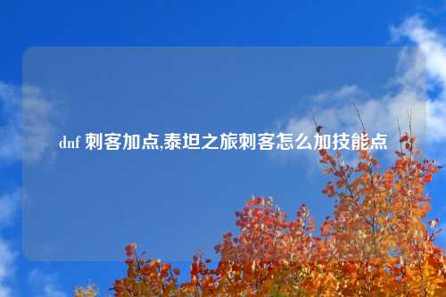 dnf 刺客加点,泰坦之旅刺客怎么加技能点