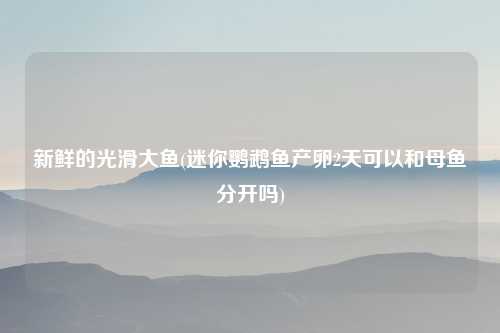 新鲜的光滑大鱼(迷你鹦鹉鱼产卵2天可以和母鱼分开吗)