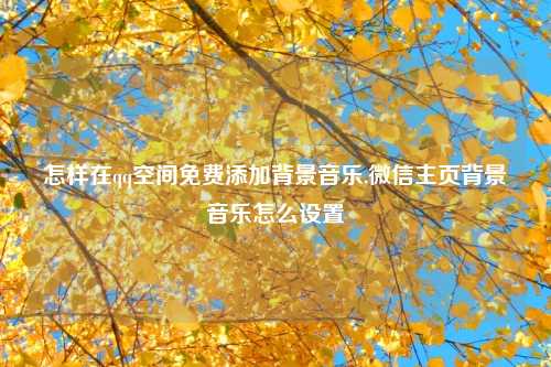 怎样在qq空间免费添加背景音乐,微信主页背景音乐怎么设置