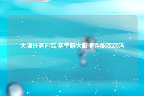 大脚任务追踪,赛季服大脚插件能双踩吗
