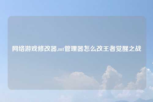 网络游戏修改器,mt管理器怎么改王者觉醒之战