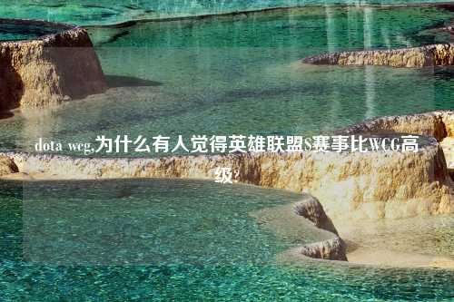 dota wcg,为什么有人觉得英雄联盟S赛事比WCG高级?