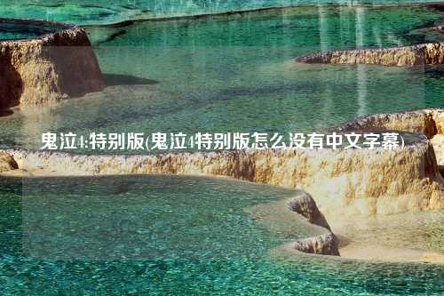 鬼泣4:特别版(鬼泣4特别版怎么没有中文字幕)