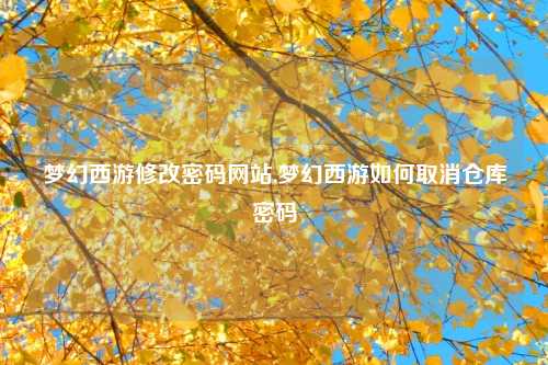 梦幻西游修改密码网站,梦幻西游如何取消仓库密码