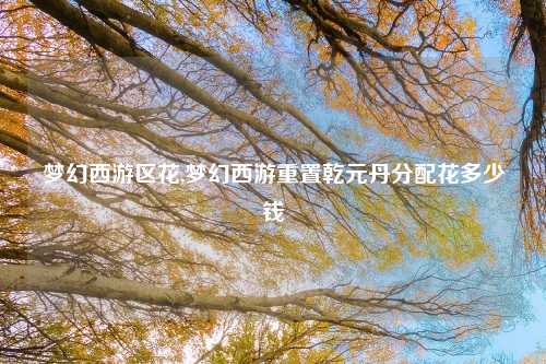 梦幻西游区花,梦幻西游重置乾元丹分配花多少钱