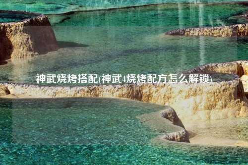 神武烧烤搭配(神武4烧烤配方怎么解锁)