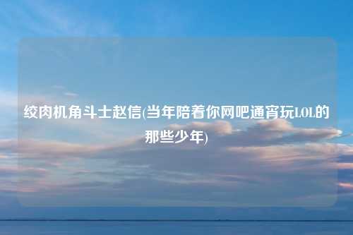 绞肉机角斗士赵信(当年陪着你网吧通宵玩LOL的那些少年)