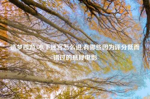 造梦西游3水下迷宫怎么进,有哪些因为评分低而错过的悬疑电影