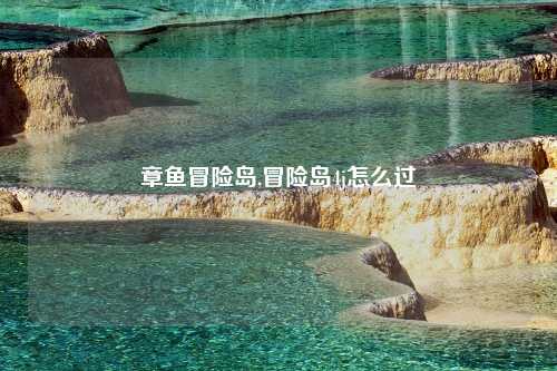 章鱼冒险岛,冒险岛4j怎么过