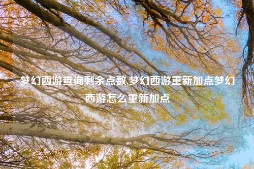 梦幻西游查询剩余点数,梦幻西游重新加点梦幻西游怎么重新加点
