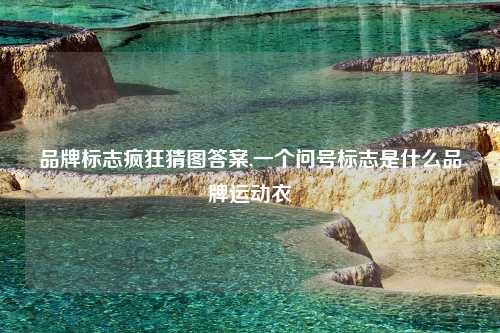 品牌标志疯狂猜图答案,一个问号标志是什么品牌运动衣