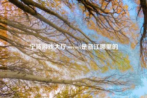 宁波游戏大厅,weiwei是浙江哪里的