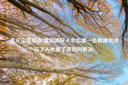 夜光法师加点(漂目调好入水后漂一会就被水冲没了入水底了该如何解决)