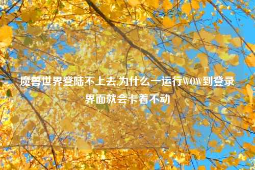 魔兽世界登陆不上去,为什么一运行WOW到登录界面就会卡着不动