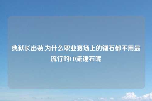 典狱长出装,为什么职业赛场上的锤石都不用最流行的CD流锤石呢