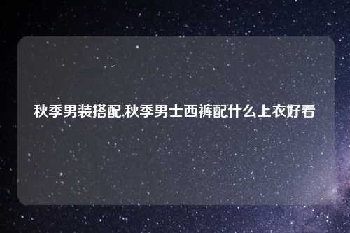 秋季男装搭配,秋季男士西裤配什么上衣好看