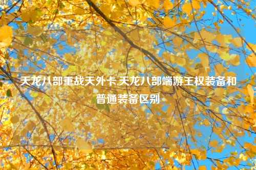 天龙八部重战天外卡,天龙八部端游王权装备和普通装备区别