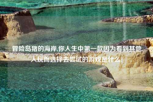 冒险岛猪的海岸,你人生中第一款因为看到其他人玩而选择去尝试的游戏是什么?