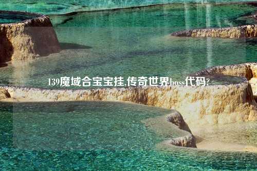139魔域合宝宝挂,传奇世界boss代码?