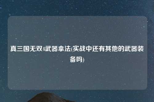 真三国无双4武器拿法(实战中还有其他的武器装备吗)