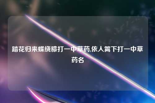 踏花归来蝶绕膝打一中草药,依人篱下打一中草药名
