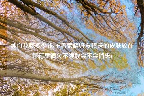纯白花嫁多少钱(王者荣耀好友赠送的皮肤放在邮箱里很久不领取会不会消失)