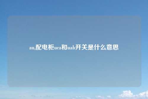 au,配电柜uca和uab开关是什么意思