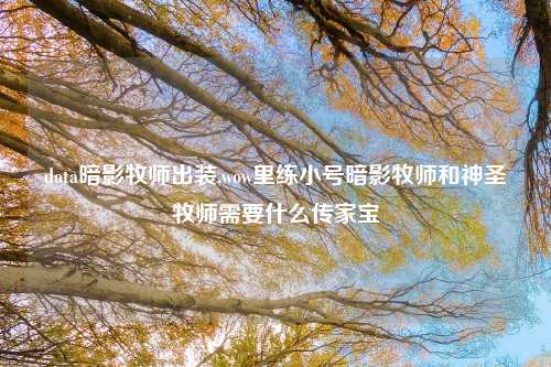 dota暗影牧师出装,wow里练小号暗影牧师和神圣牧师需要什么传家宝