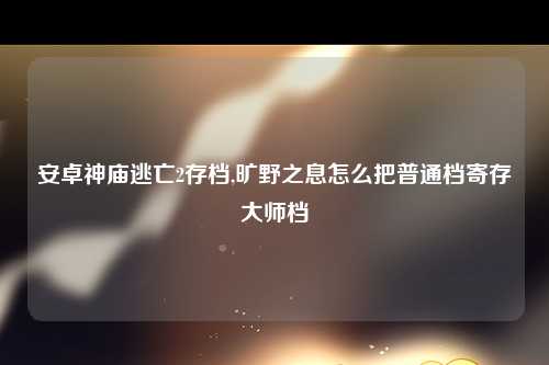 安卓神庙逃亡2存档,旷野之息怎么把普通档寄存大师档