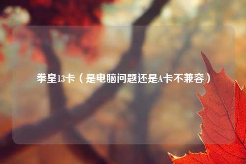 拳皇13卡（是电脑问题还是A卡不兼容）
