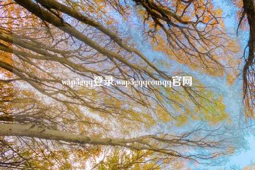wap3gqq登录,wap3gqqcomqq官网