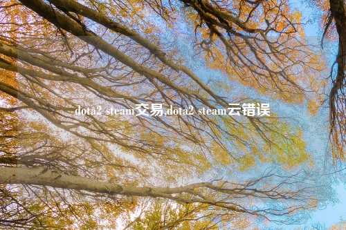 dota2 steam交易,dota2 steam云错误