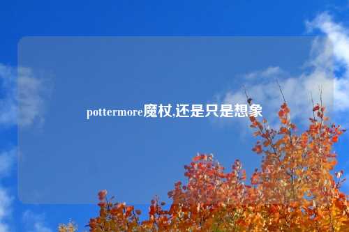 pottermore魔杖,还是只是想象