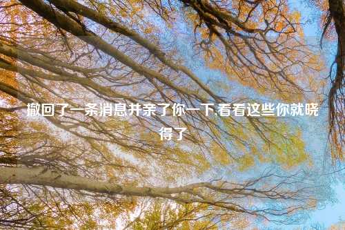 撤回了一条消息并亲了你一下,看看这些你就晓得了