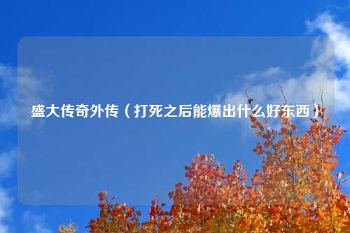 盛大传奇外传（打死之后能爆出什么好东西）